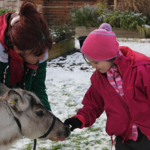 Father Christmas sent us a surprise today...! Snowflake the reindeer!